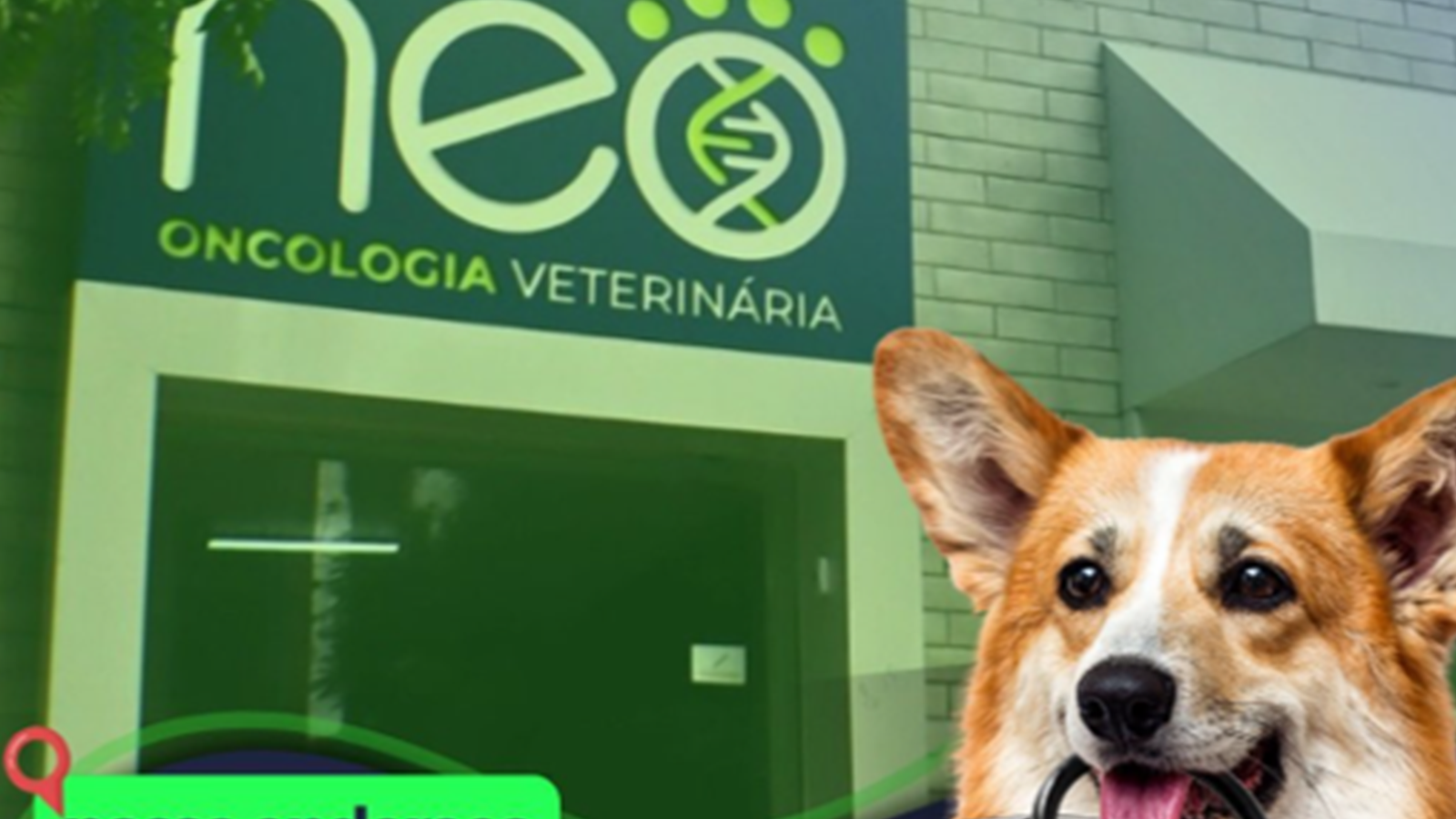Fachada da Neo Vet